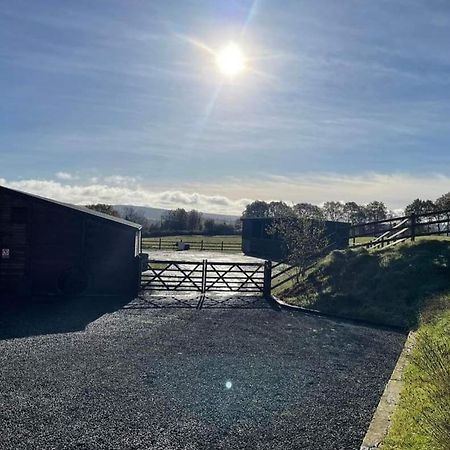 Maes Y Gwaelod Panzió Llanwrtyd Wells Kültér fotó