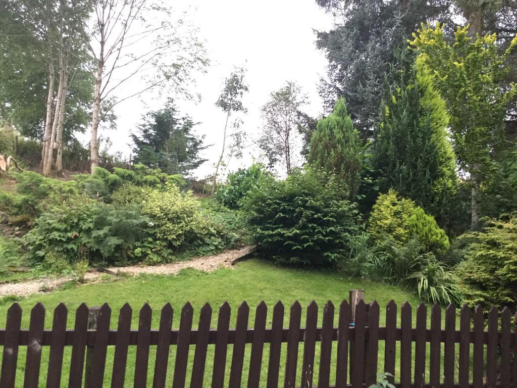 Maes Y Gwaelod Panzió Llanwrtyd Wells Kültér fotó