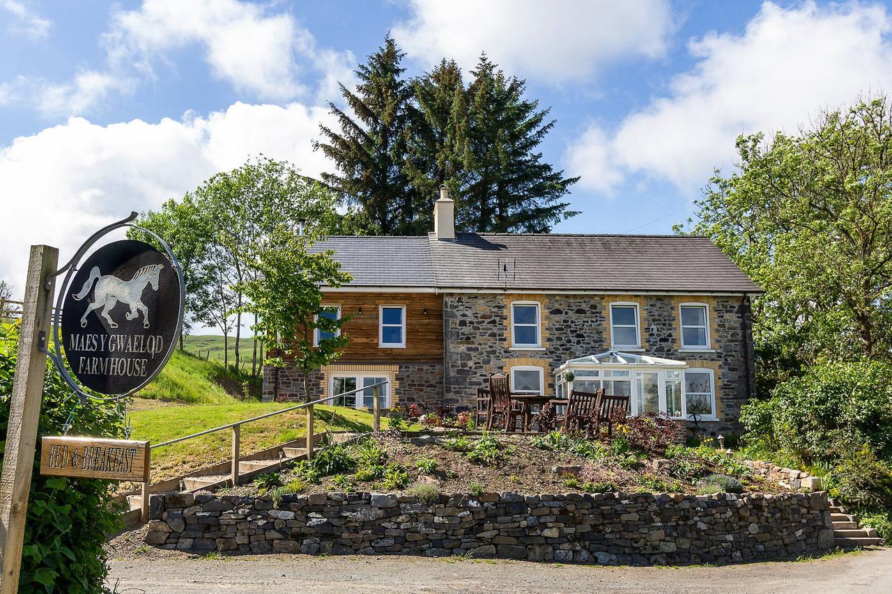 Maes Y Gwaelod Panzió Llanwrtyd Wells Kültér fotó
